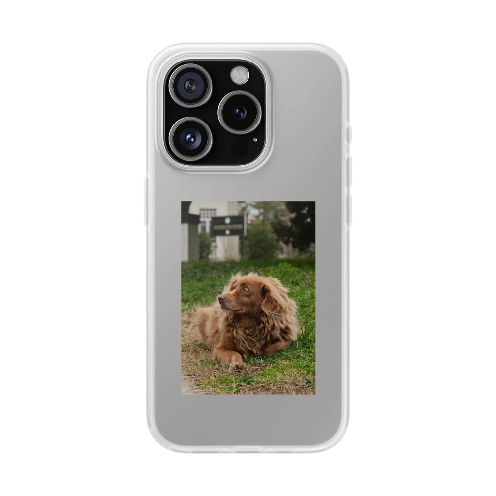 Phone cases with your pet