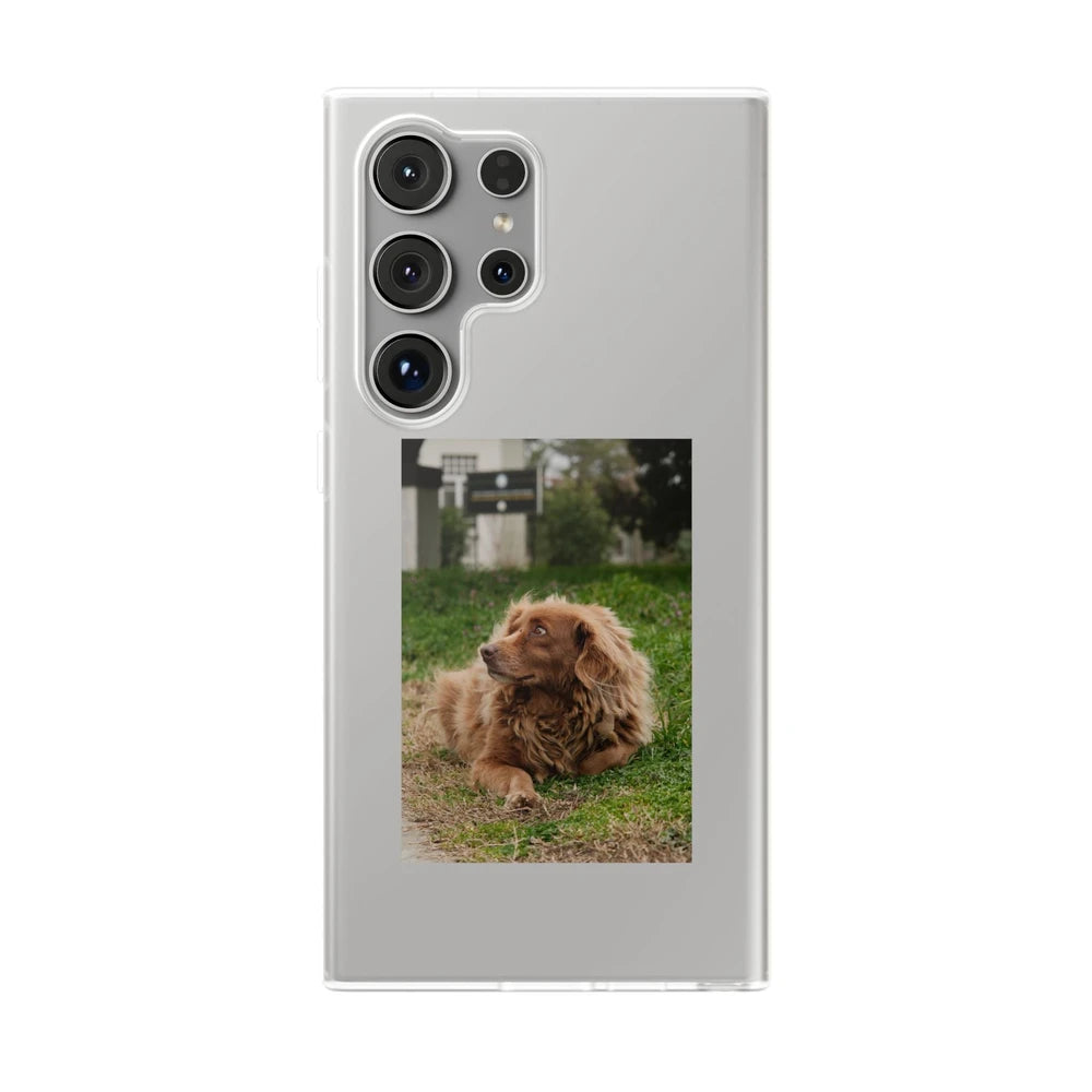 Phone cases with your pet