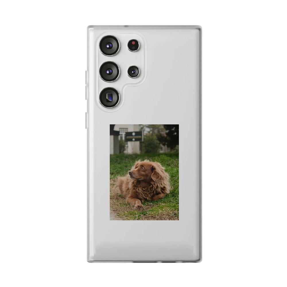 Phone cases with your pet
