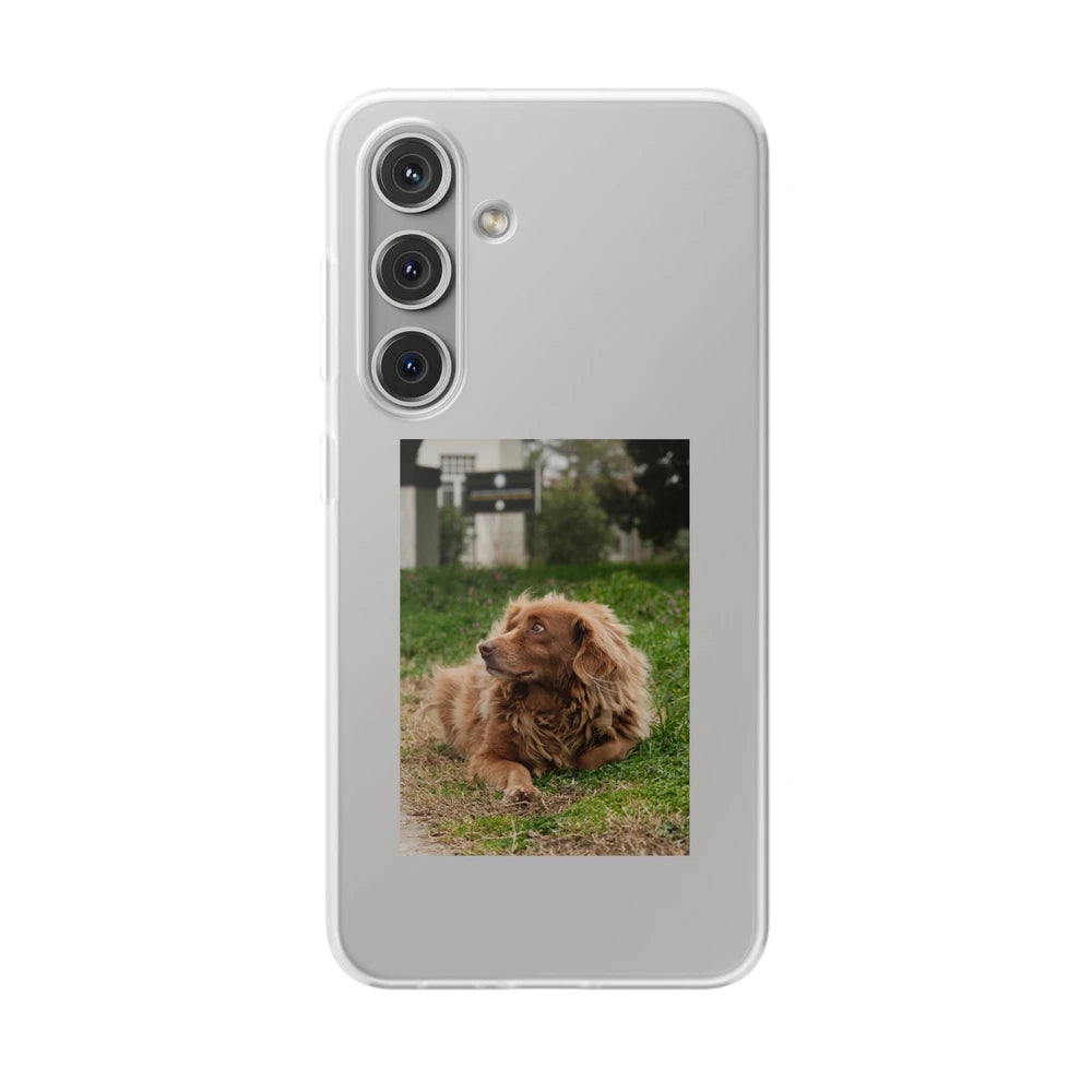 Phone cases with your pet