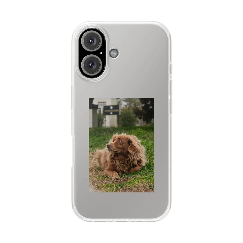 Phone cases with your pet