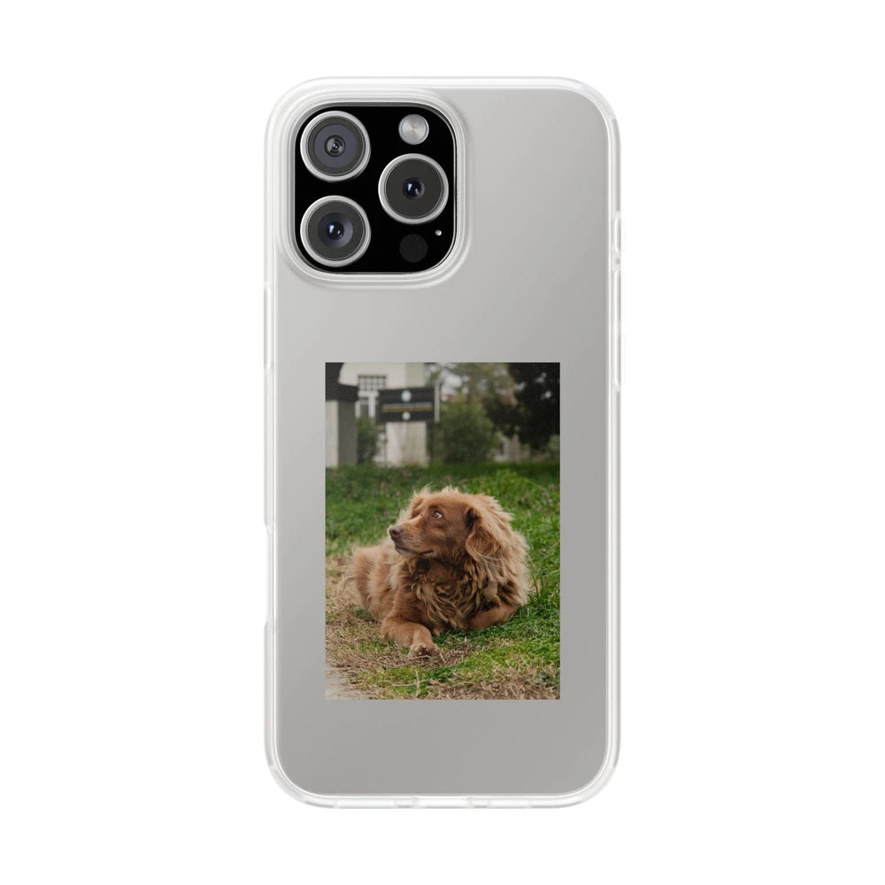 Phone cases with your pet
