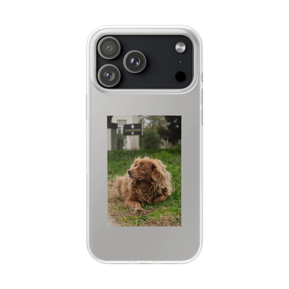 Phone cases with your pet