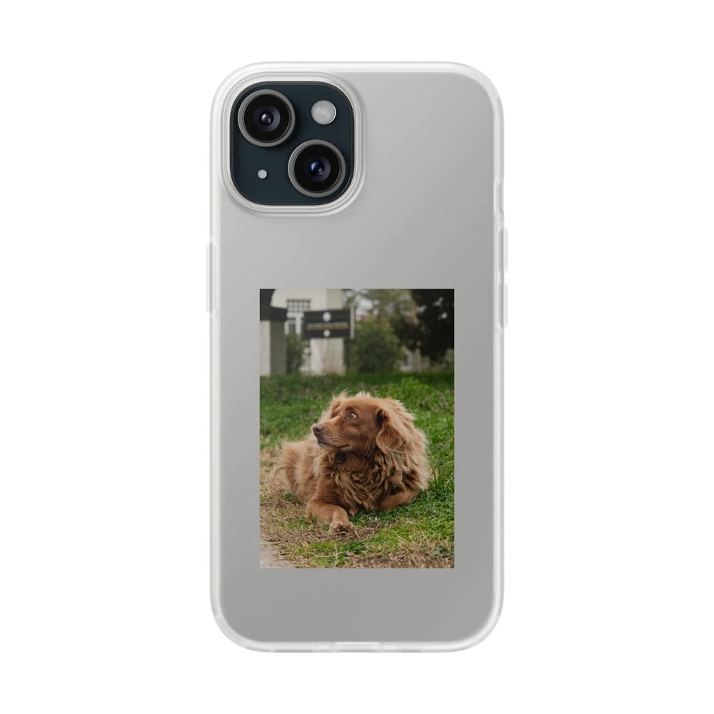 Phone cases with your pet