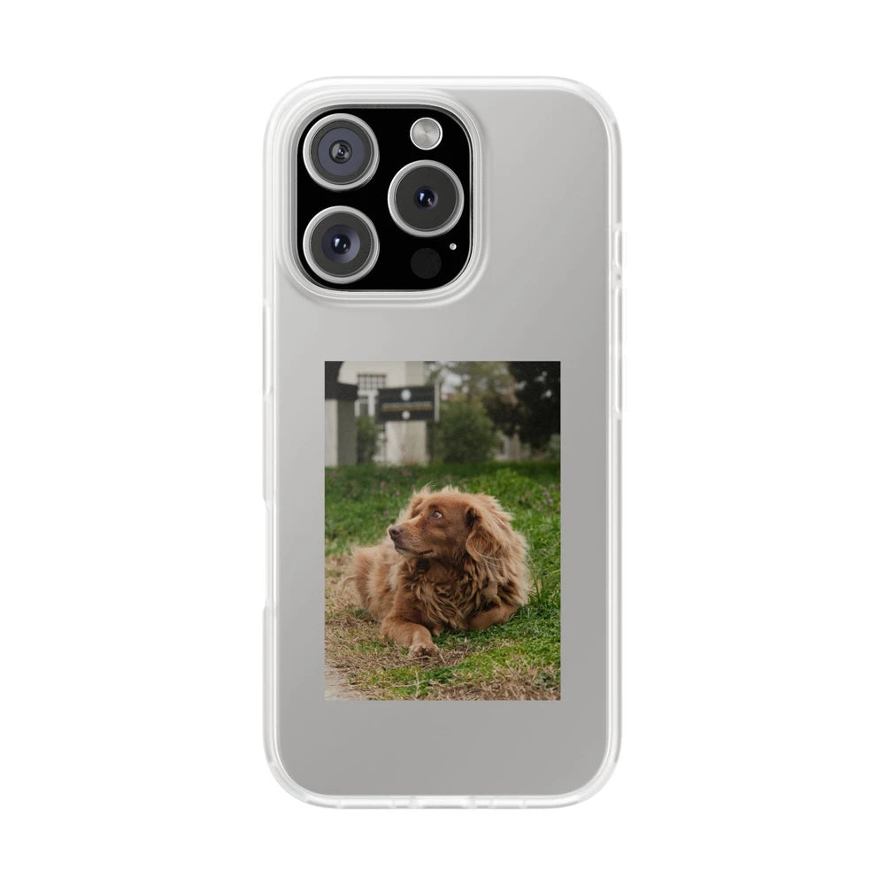 Phone cases with your pet