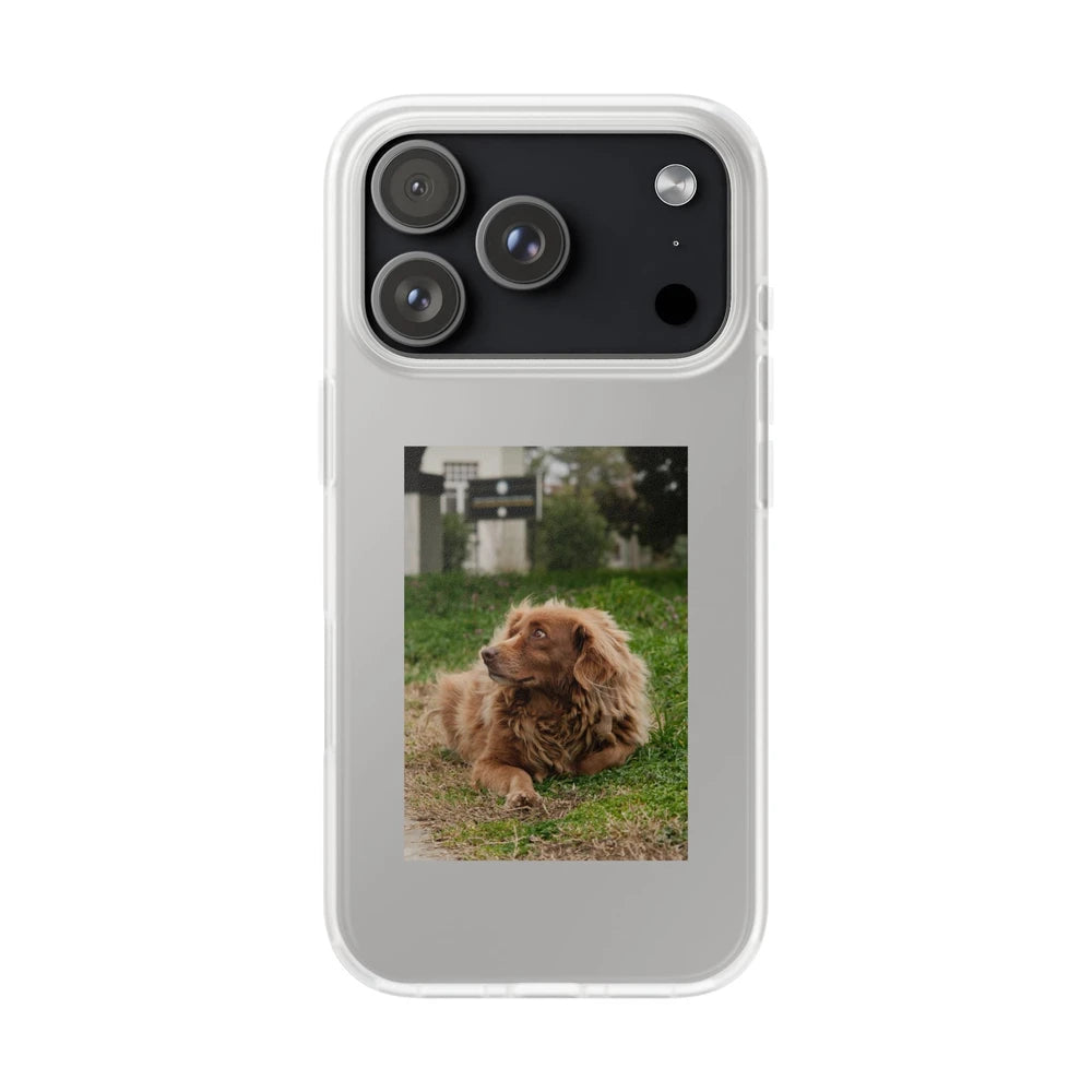 Phone cases with your pet