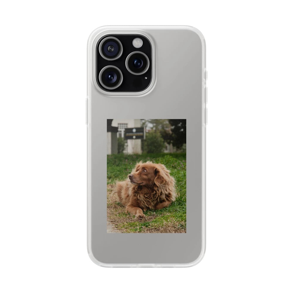 Phone cases with your pet